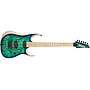 Ibañez - Guitarra Eléctrica RGD Iron Label, Color: Verde Sombreado Mod.RGDIX6MPB-SBB_76