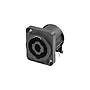 Rean - Conector de 4 Polos para Chasis de Montaje Mod.RLS4MPZ _3
