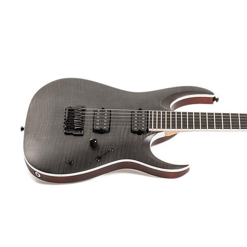 Ibañez - Guitarra Eléctrica RGA Iron Label, Color  Gris Mod.RGAIX6FM-TGF_206